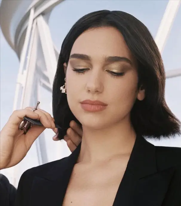 Dua Lipa Rise to Stardom