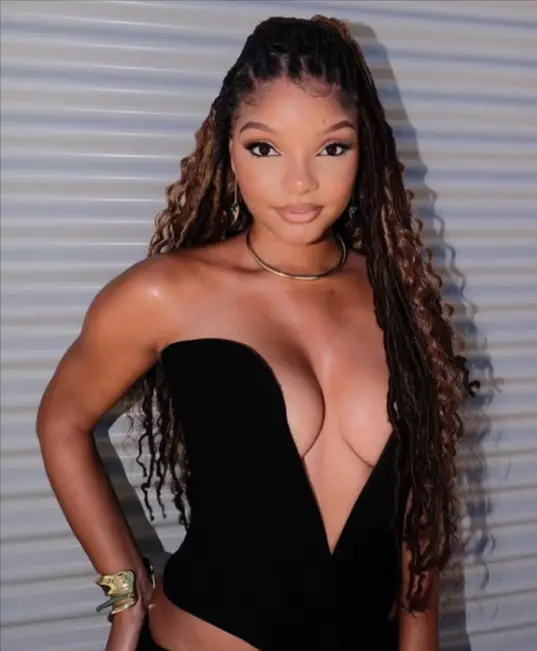 Halle Bailey Rise to Stardom