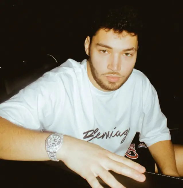 How Adin Ross Achieve Fame