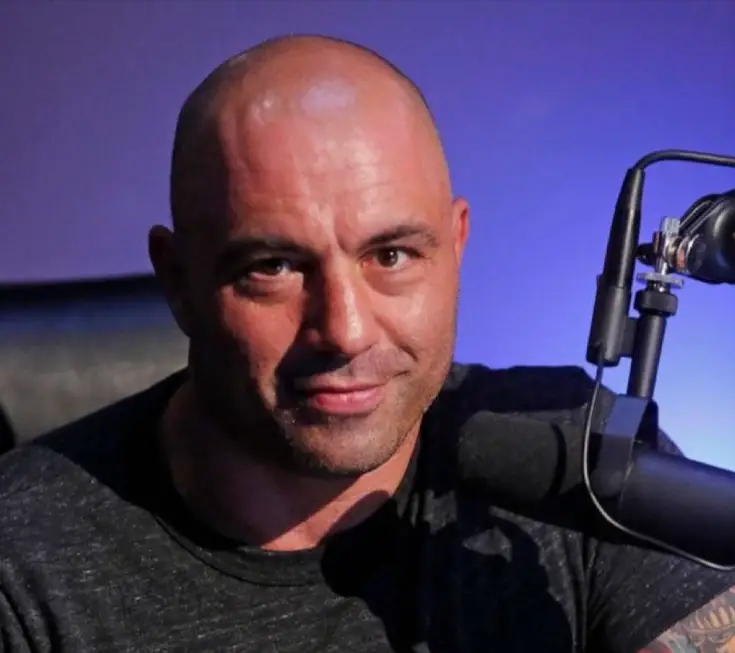 How Did Joe Rogan Get Famous