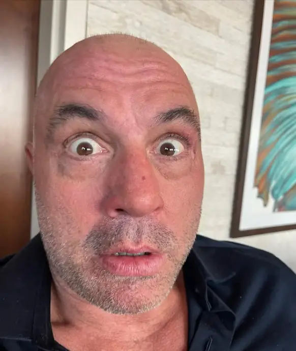 How Joe Rogan Achieve Fame