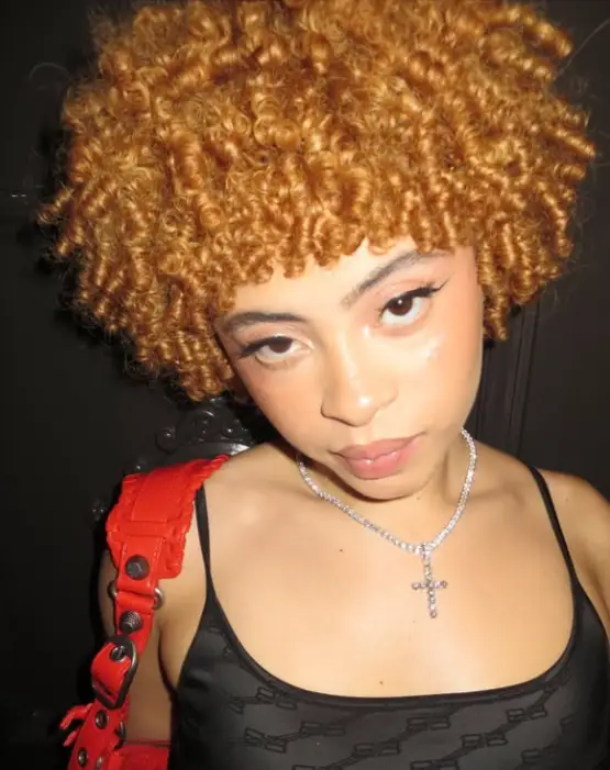 Ice Spice Achieve Fame