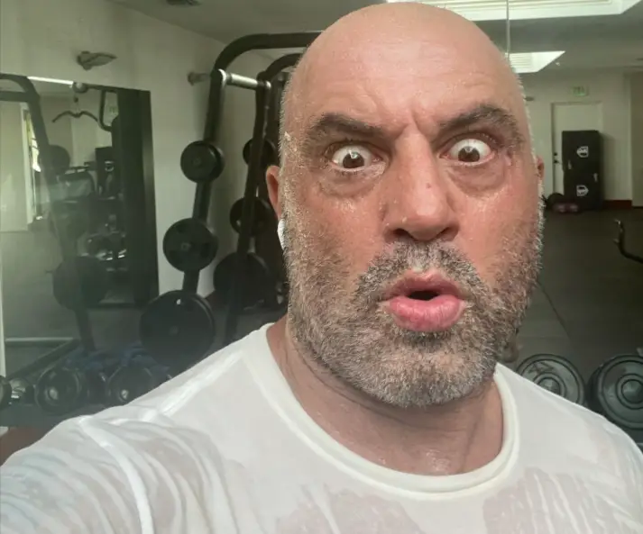 Joe Rogan Get Famous