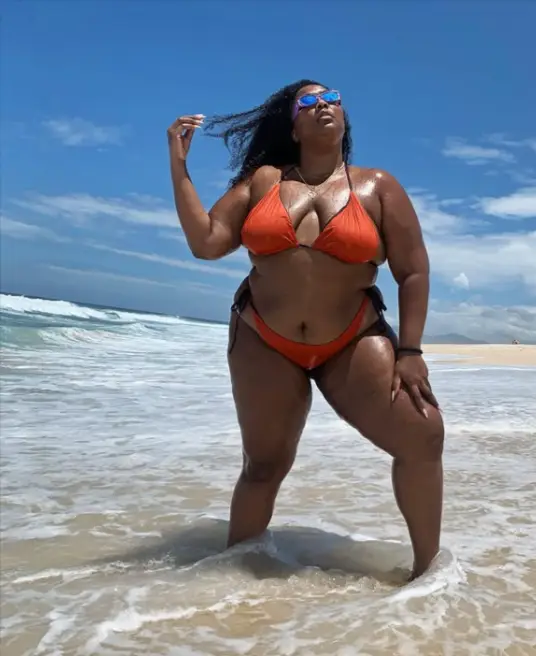 Lizzo Achieve Fame