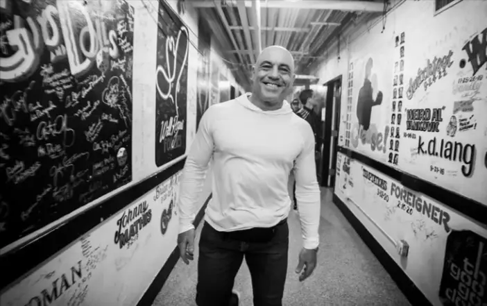 What Makes Joe Rogan Famous