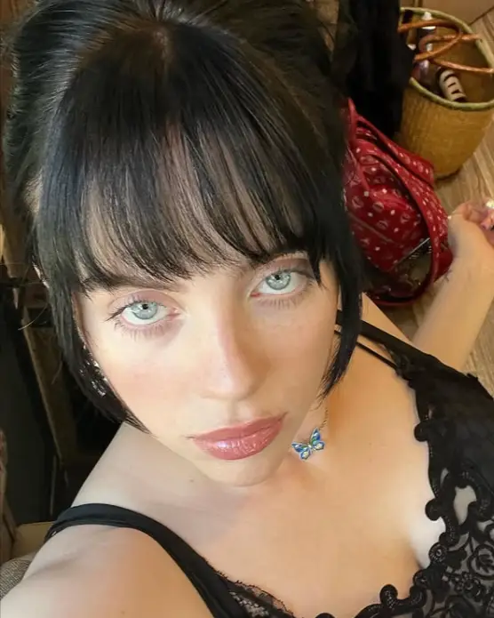 Billie Eilish Get Famous